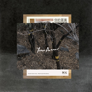 伊在人线香蕉观看视频
