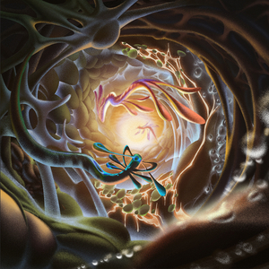 伊在人线香蕉观看视频
