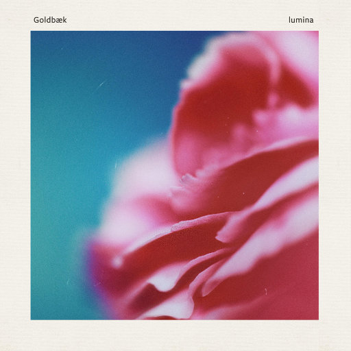 伊在人线香蕉观看视频
